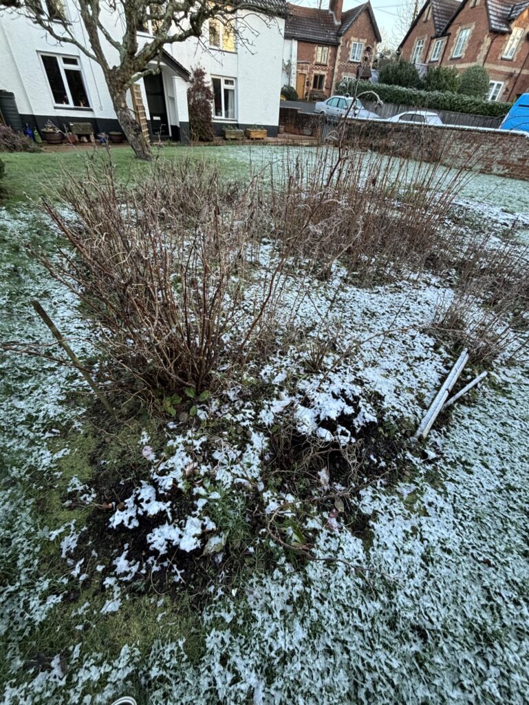 Garden tidy up before turf in East Devon