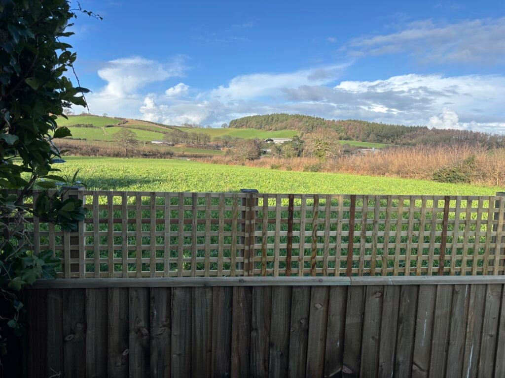 Trellis 4Ft Fence replacement east Devon