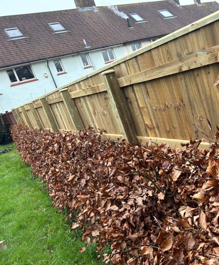 Fence Replacement